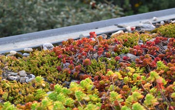 the cost of Tregroes green roof installation
