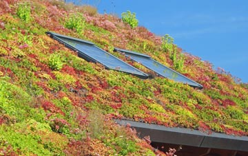 Tregroes living roof systems